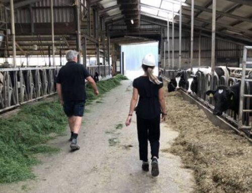 Fors meer groen gas in Zuid-Drenthe en Noord-Overijssel