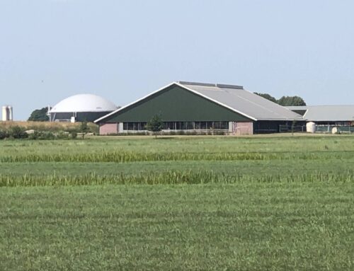 Productie groen gas groeit weer in 2025